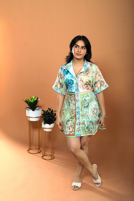 Multicolored Collar Neck Dress